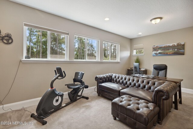 workout room with a wealth of natural light, carpet, and a textured ceiling