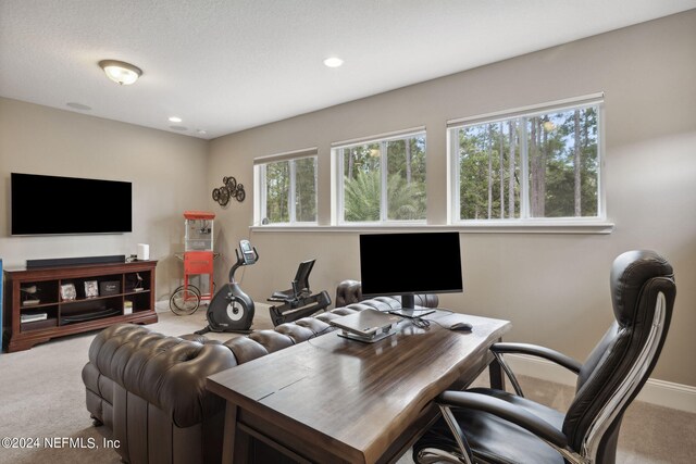 carpeted office space featuring a textured ceiling