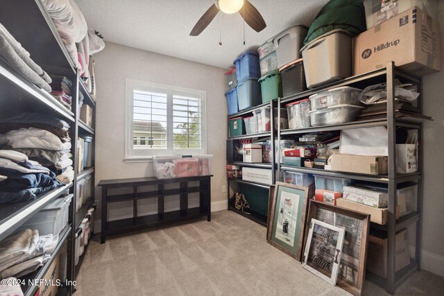 storage area with ceiling fan