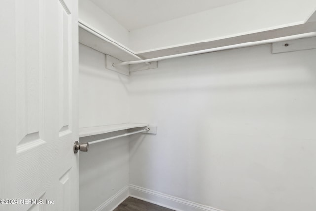 spacious closet with dark hardwood / wood-style flooring