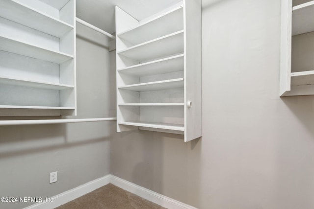 walk in closet featuring carpet floors