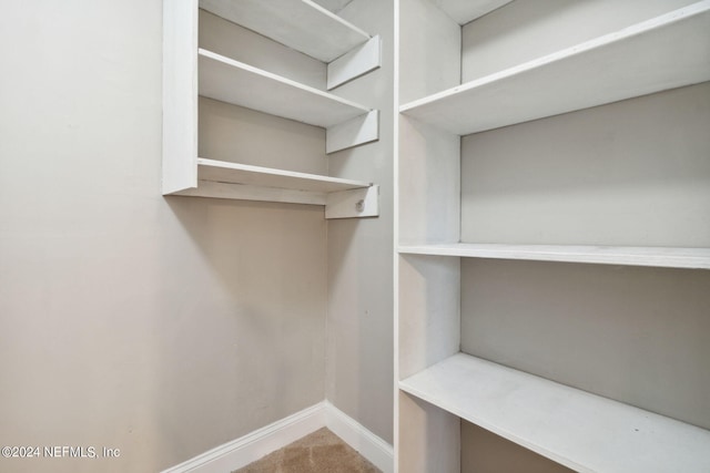 walk in closet with carpet flooring