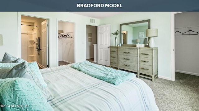 carpeted bedroom featuring baseboards, visible vents, connected bathroom, a walk in closet, and a closet