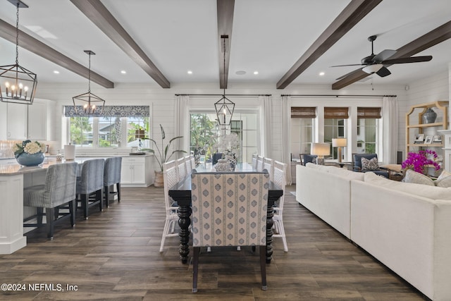 dining area with ceiling fan with notable chandelier, dark hardwood / wood-style flooring, wood walls, and beam ceiling