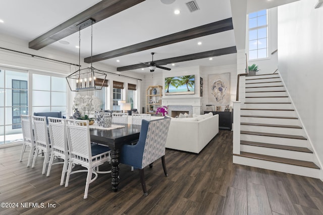 dining area featuring ceiling fan with notable chandelier, a wealth of natural light, dark hardwood / wood-style floors, and beam ceiling