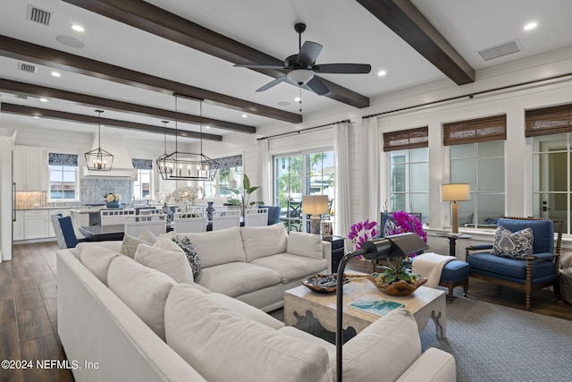 living room with ceiling fan with notable chandelier, dark hardwood / wood-style floors, and beam ceiling