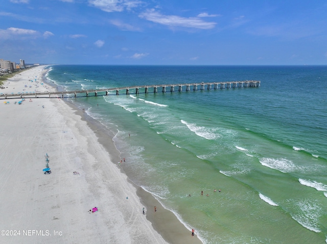 water view featuring a beach view