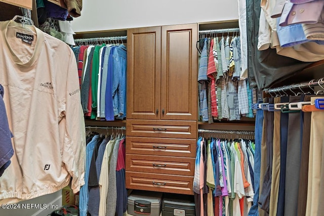 view of walk in closet