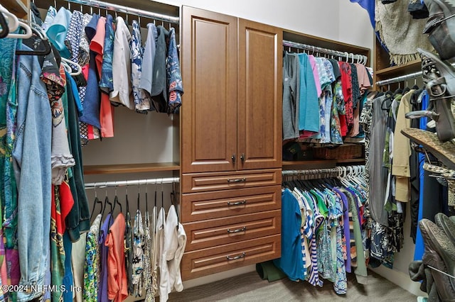 spacious closet featuring carpet