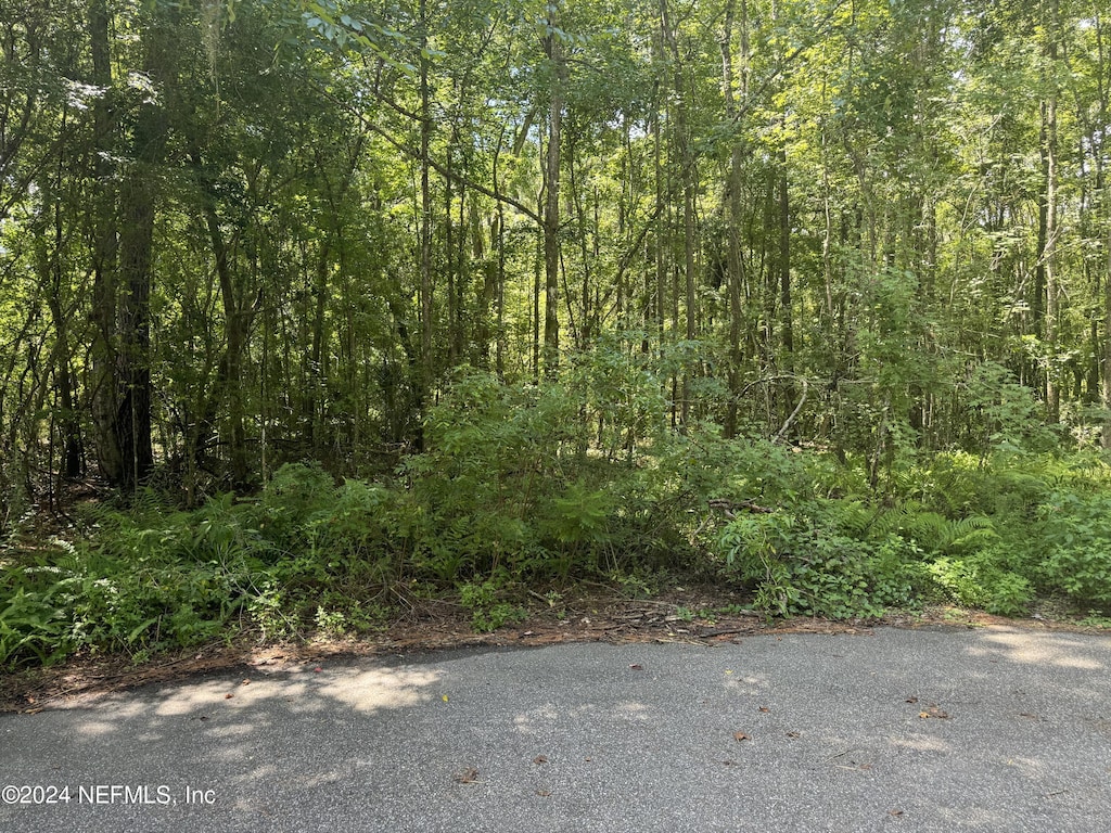 0 Ranie Rd, Jacksonville, FL 32218 - photo 2