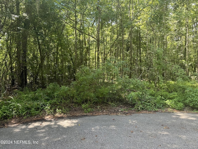 0 Ranie Rd, Jacksonville, FL 32218 - photo 2
