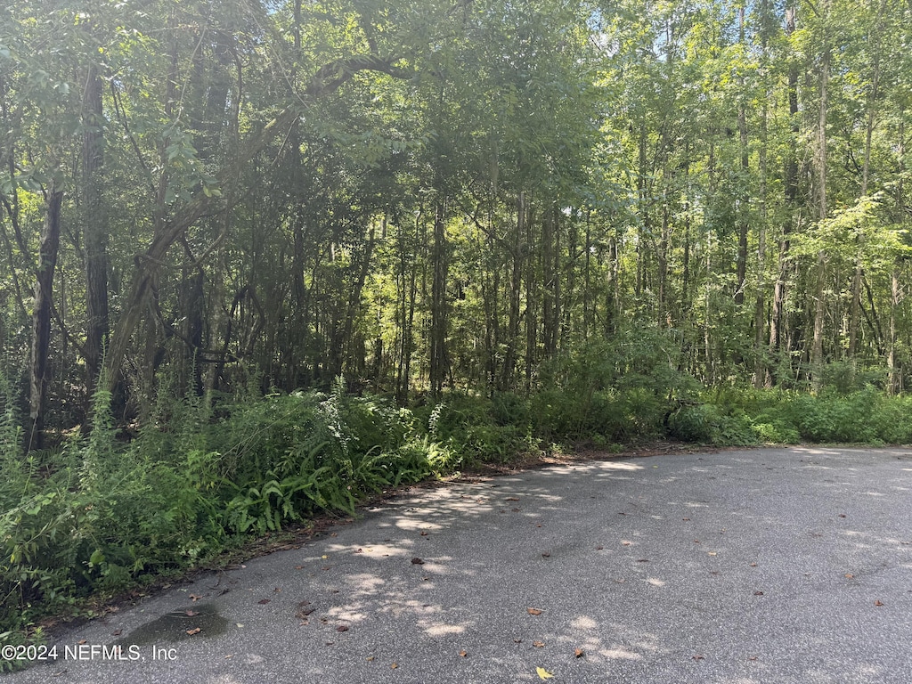 0 Ranie Rd, Jacksonville, FL 32218 - photo 3