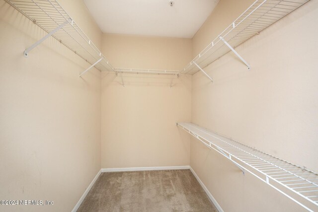 walk in closet with carpet flooring