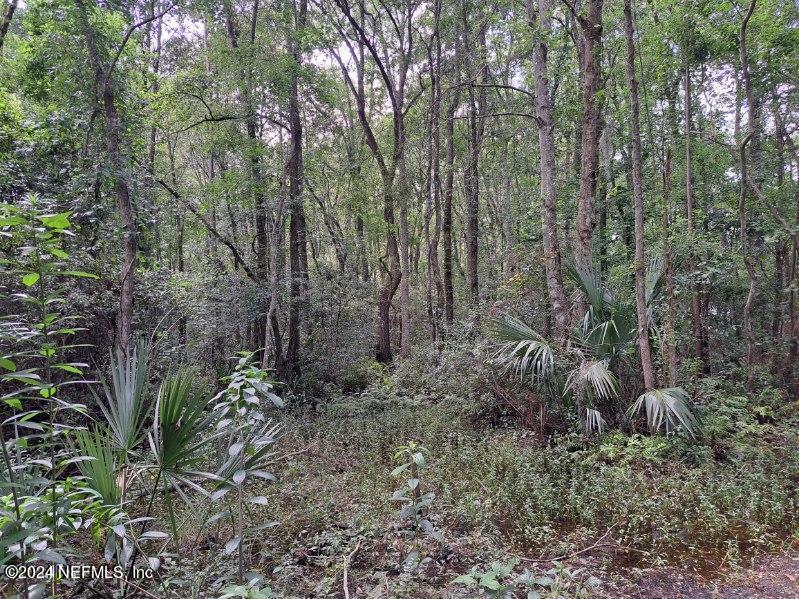 0 Oglesby Ave, Jacksonville, FL 32220 - photo 2