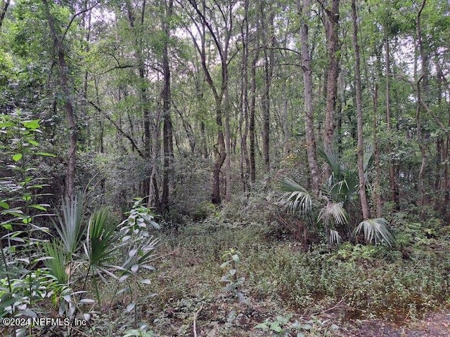 0 Oglesby Ave, Jacksonville, FL 32220 - photo 2