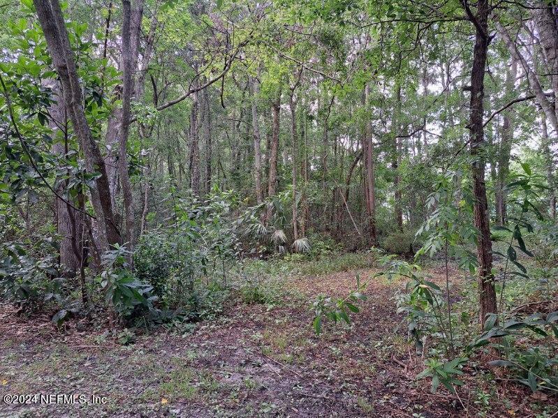 0 Oglesby Ave, Jacksonville, FL 32220 - photo 3