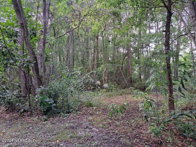0 Oglesby Ave, Jacksonville, FL 32220 - photo 3