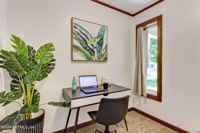 carpeted office featuring crown molding