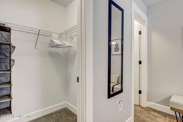 walk in closet with light carpet