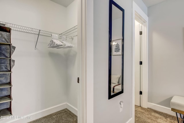 spacious closet featuring carpet