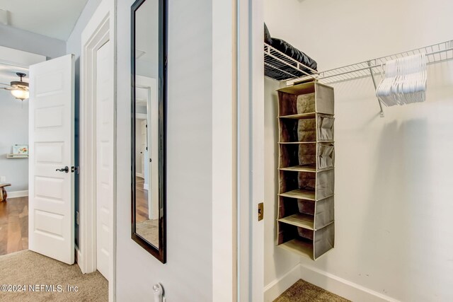 spacious closet featuring carpet