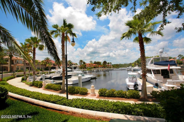 dock area with a water view