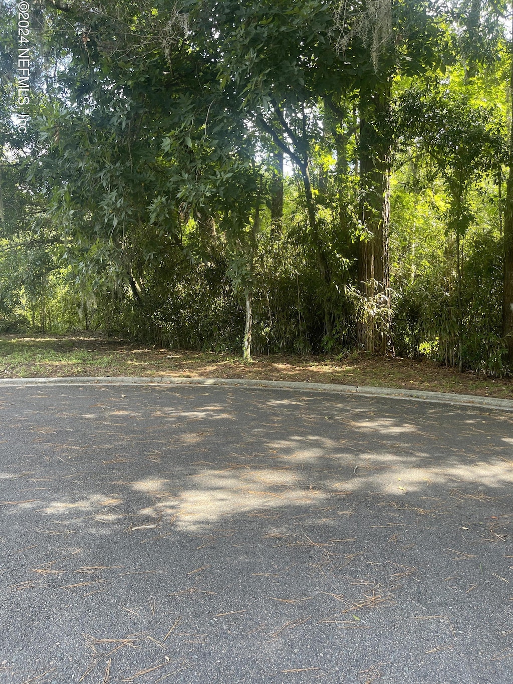 0 Ft Caroline Rd, Jacksonville, FL 32225