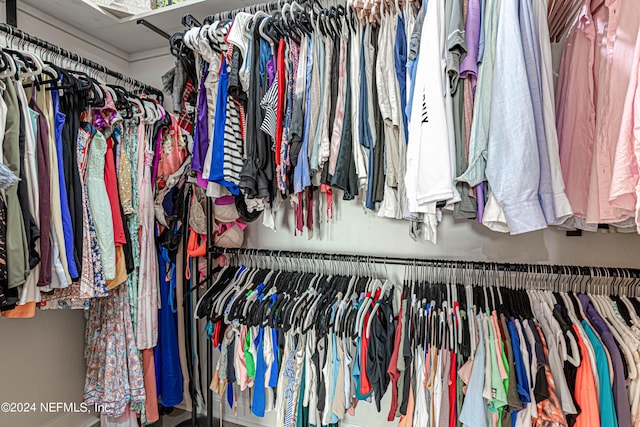 view of spacious closet