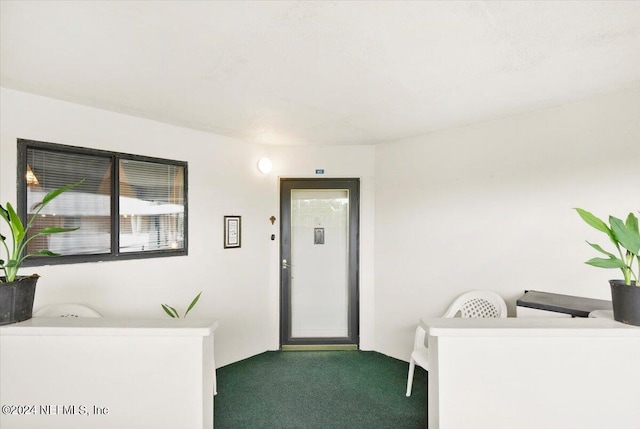 view of carpeted entrance foyer