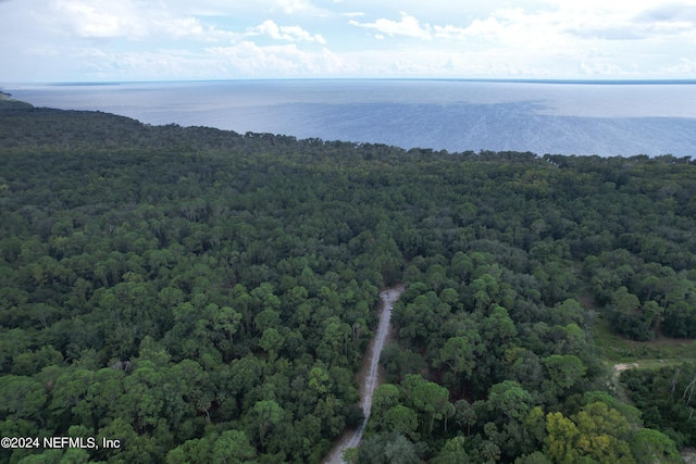 106 Marsh Ct, Georgetown, FL 32139 - photo 5
