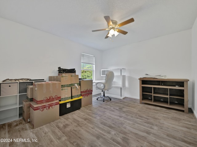 office with light hardwood / wood-style flooring and ceiling fan