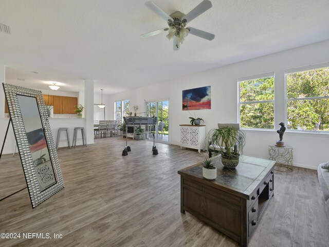 living room featuring light hardwood / wood-style floors, a wealth of natural light, and ceiling fan