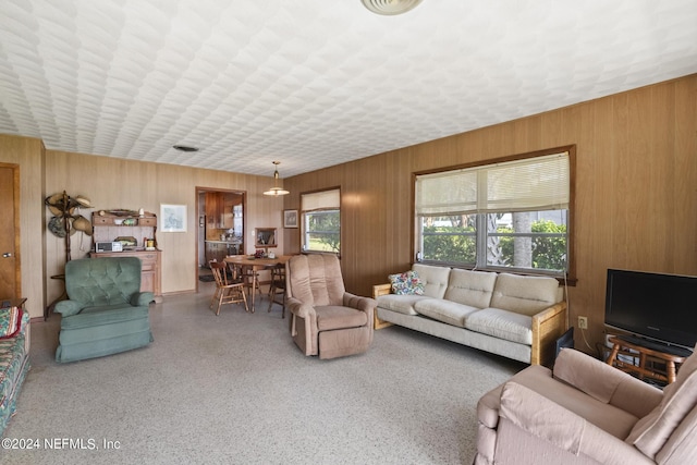 living area with speckled floor and wood walls