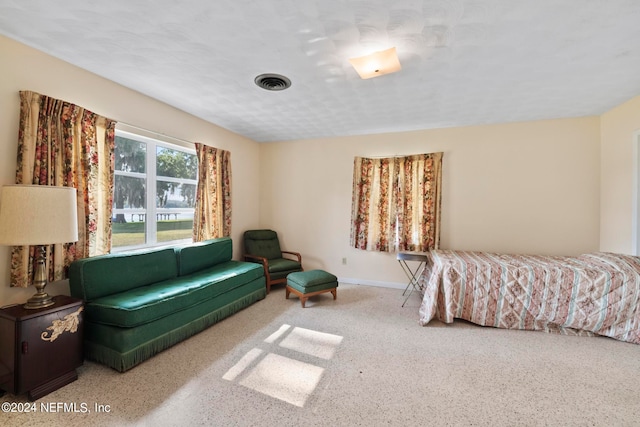 bedroom with carpet floors