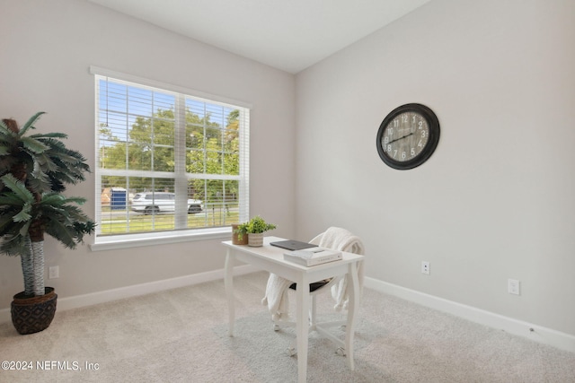 office space with carpet flooring and plenty of natural light