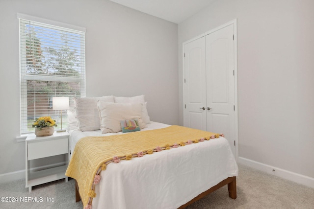 carpeted bedroom featuring a closet and multiple windows