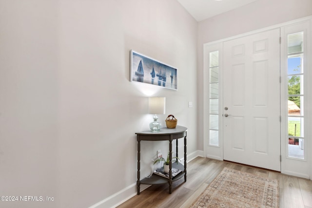 foyer with wood-type flooring