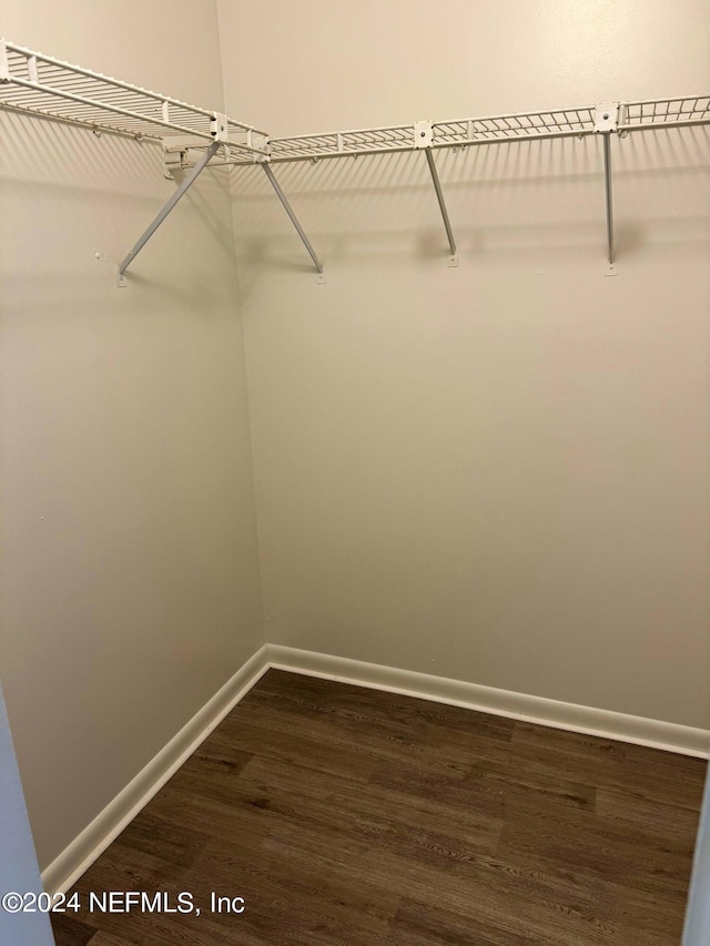 walk in closet with dark wood-type flooring