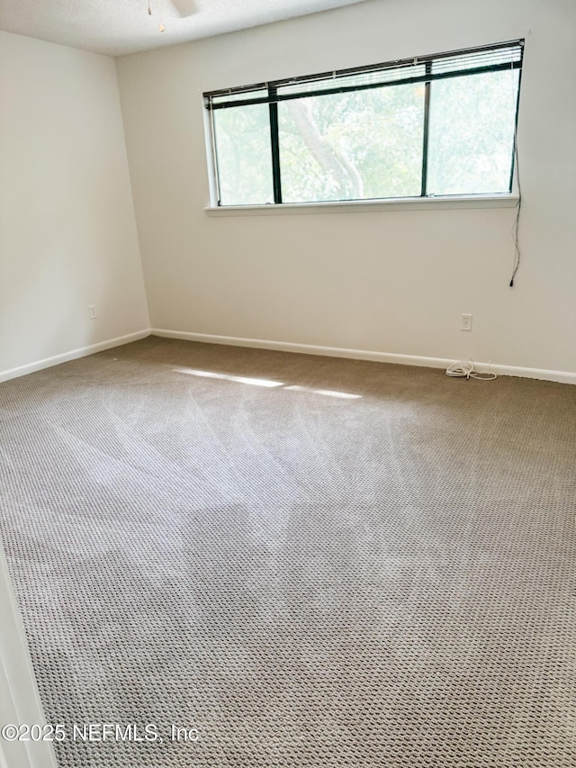 empty room featuring a textured ceiling, ceiling fan, and carpet flooring