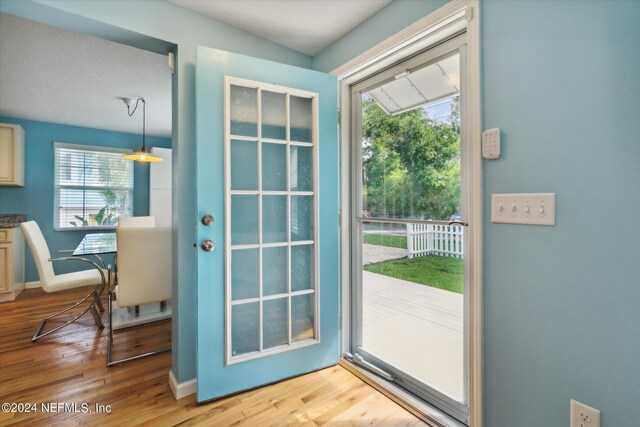 doorway featuring plenty of natural light and light hardwood / wood-style flooring