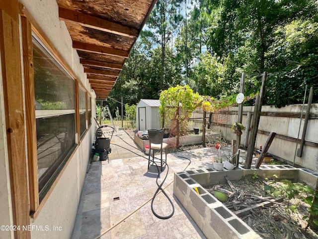 view of patio / terrace featuring a storage shed