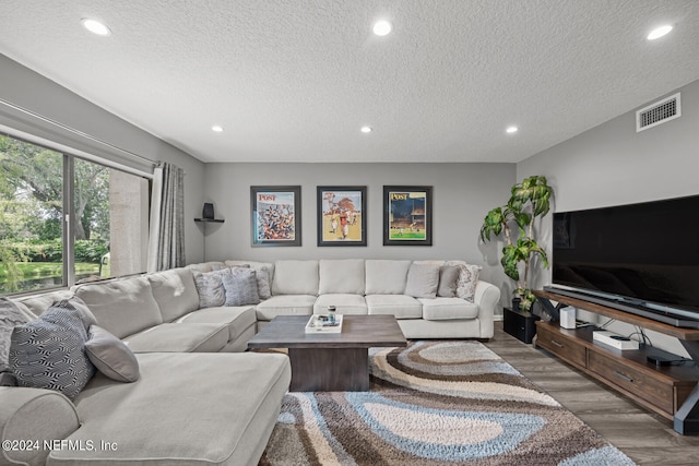 living room with hardwood / wood-style flooring and a textured ceiling