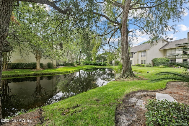 view of yard with a water view