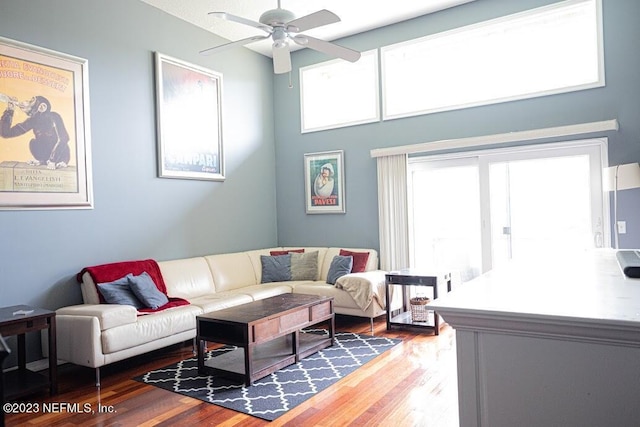 living room with ceiling fan and hardwood / wood-style floors