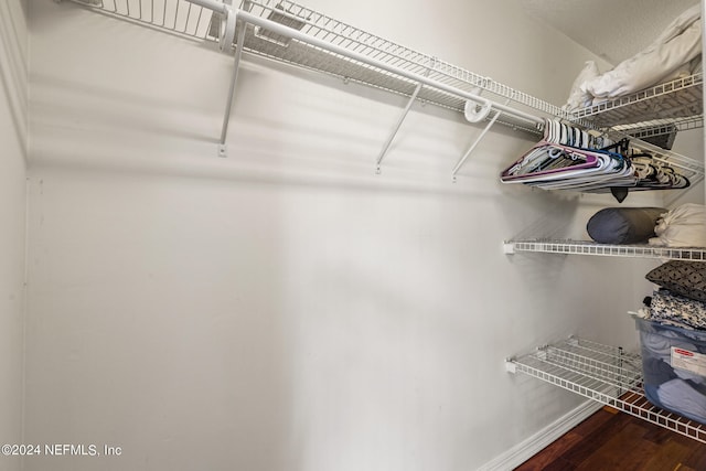 spacious closet with hardwood / wood-style floors