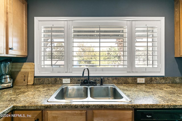 kitchen with black dishwasher and sink