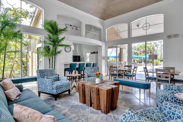 living room featuring a towering ceiling