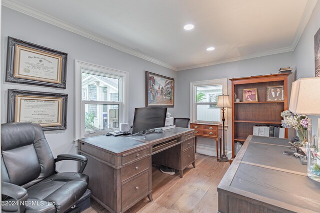 office featuring crown molding and light hardwood / wood-style flooring