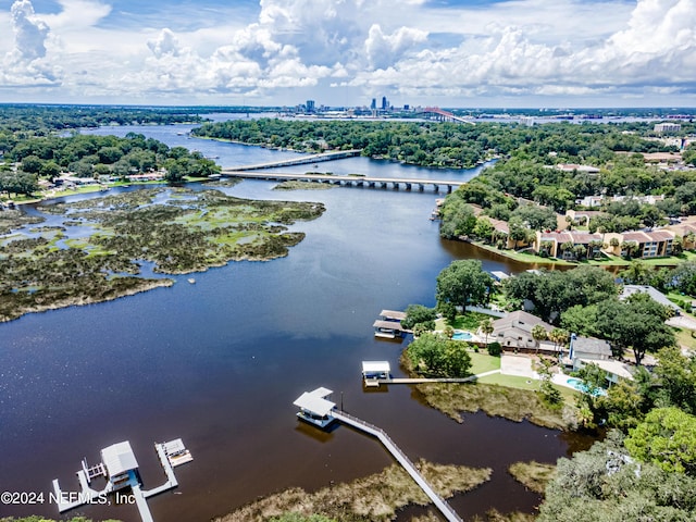 birds eye view of property with a water view