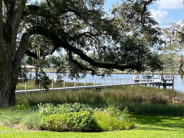 view of home's community featuring a boat dock and a water view